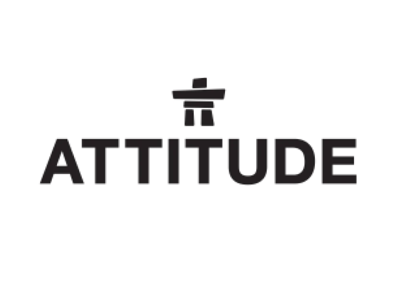 Attitude