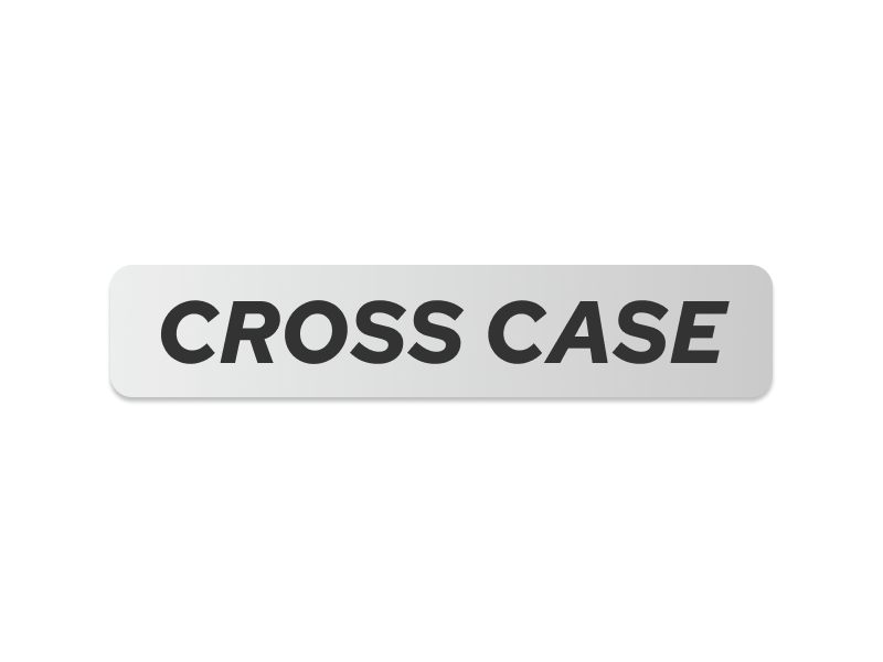 Cross Case