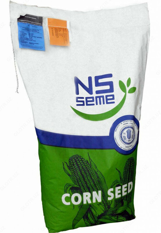 Семена кукурузы НС 6010 маккажухори уруглари