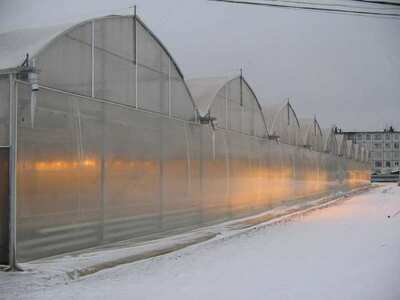 Пленка тепличная полиэтиленовая светостабилизированная с гидрофильным эффектом для теплиц - 29 000 сум / кг.