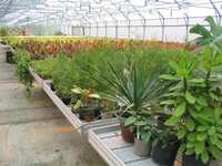 от {0} сум Пленка тепличная полиэтиленовая светостабилизированная с гидрофильным эффектом для теплиц