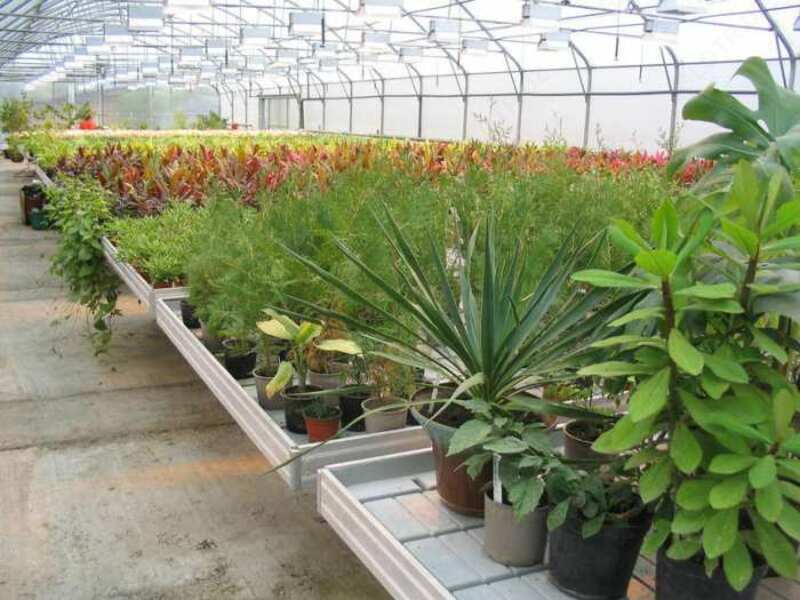 Пленка тепличная полиэтиленовая светостабилизированная с гидрофильным эффектом для теплиц Гост 10354-82 марка СТ Оптом и розница