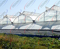 Пленка полиэтиленовая светостабилизированная с гидрофильным эффектом для теплиц Гост 10354-82 марка СТ