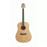 Akustik gitara Ashton D20 NTM