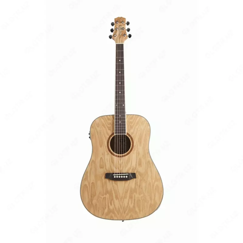 Akustik gitara Ashton D20 NTM