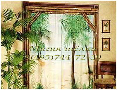 200 000 so'm / kv.mdan Fotosuratlar