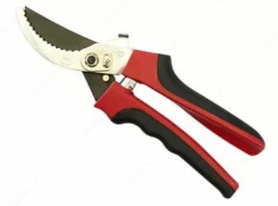 Sekretarlar - Narx so&#039;rov asosida