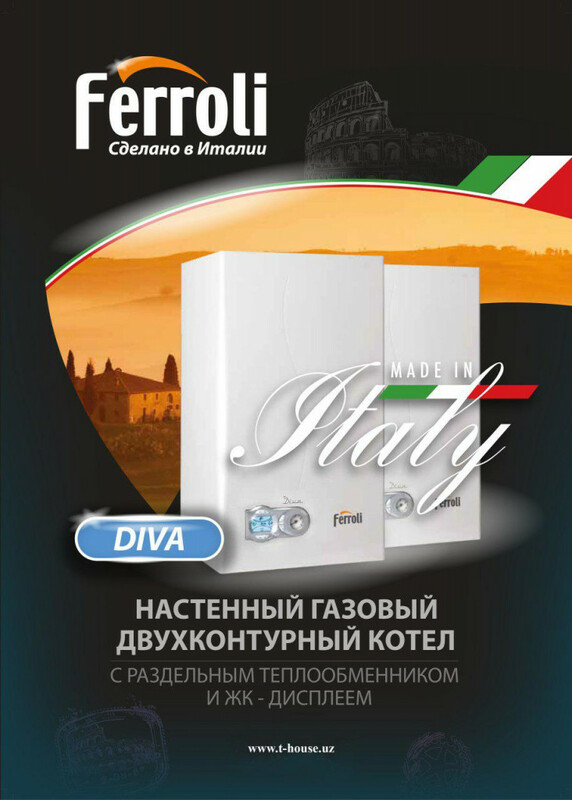 Настенный газовый двухконтурный котел