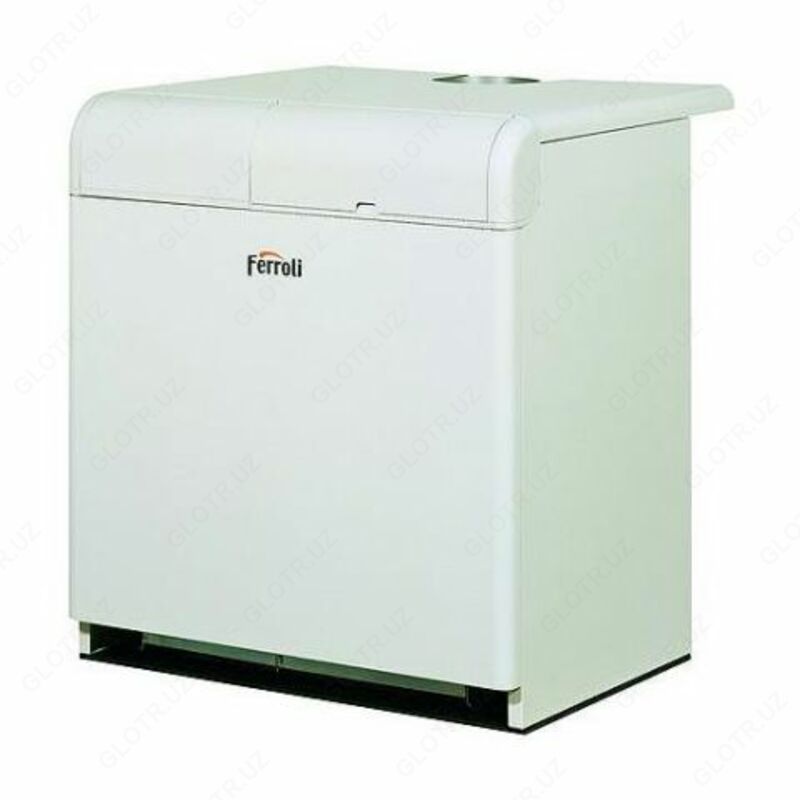 Газовые котлы Ferroli Pegasus 67 2s