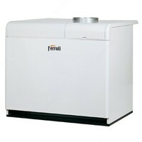 Газовые котлы Ferroli Pegasus 136 LN 2S