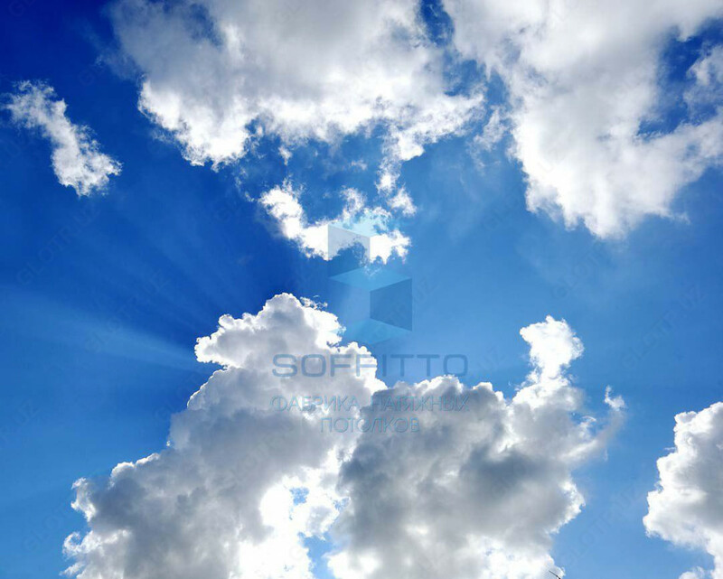 Натяжные потолки с художественной печатью - 170 000 so'mdan