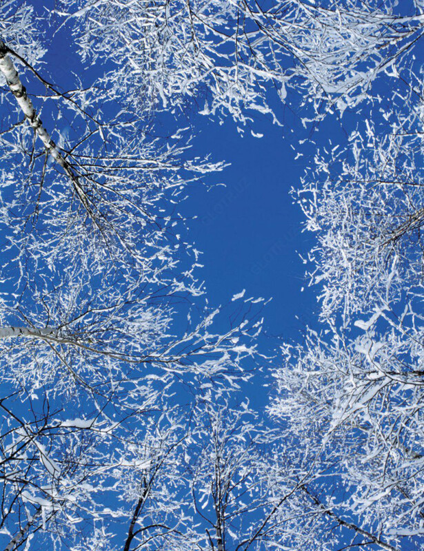 Натяжные потолки с художественной печатью