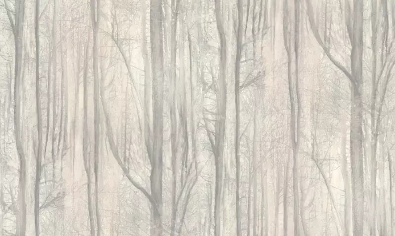 Rus oddiy fon rasmi ACCENT 70392-24