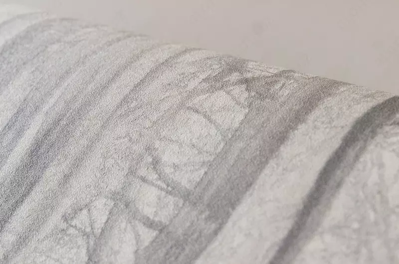 Rus oddiy fon rasmi ACCENT 70392-24 Oboi Market