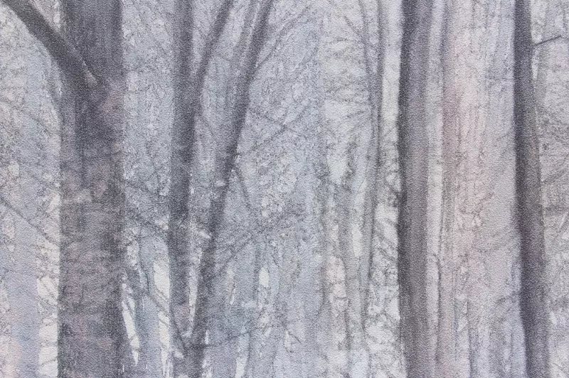 Российские однотонные обои АКЦЕНТ 70392-56 Только в розницу