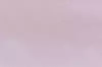 Российские однотонные обои АКЦЕНТ 70393-55