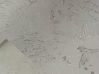 Российские обои ВЕНЕЦИАНО 4107 (4)