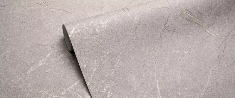 Toqilmagan tayanchdagi vinil fon rasmi Bruno  ROSE (art-98728)