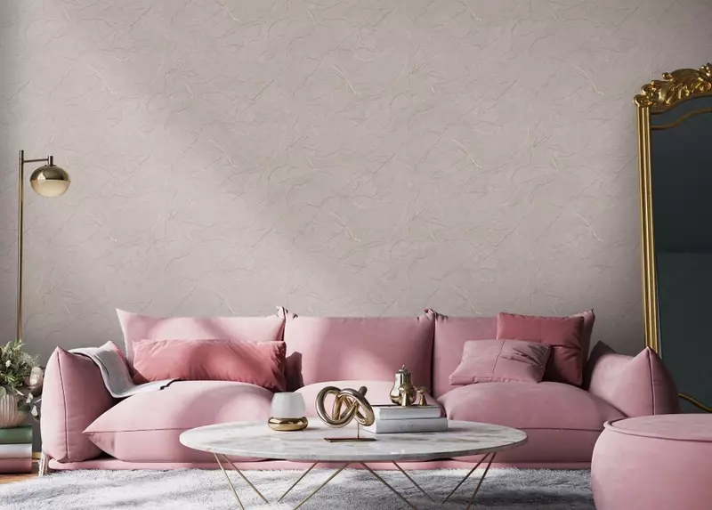  Toqilmagan tayanchdagi vinil fon rasmi Bruno  ROSE (art-98728) - 