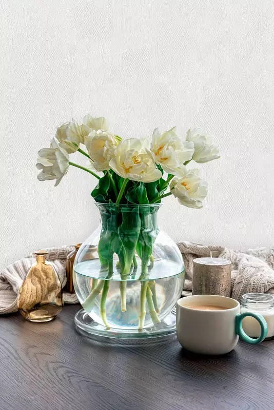  Vinil fon rasmi MOF Interio Ozodlik (art-4276-1) - 