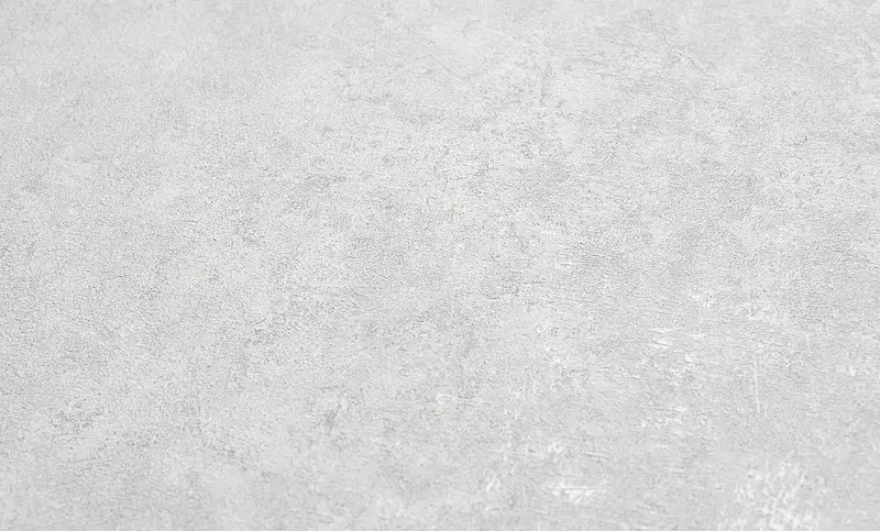 Non-woven wallpaper with vinyl coating Ateliero Expert (art-286027)