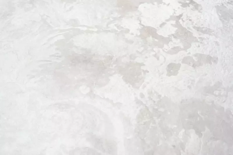 Обои флизелиновые с виниловым покрытием Ateliero Favorit (арт-286767)