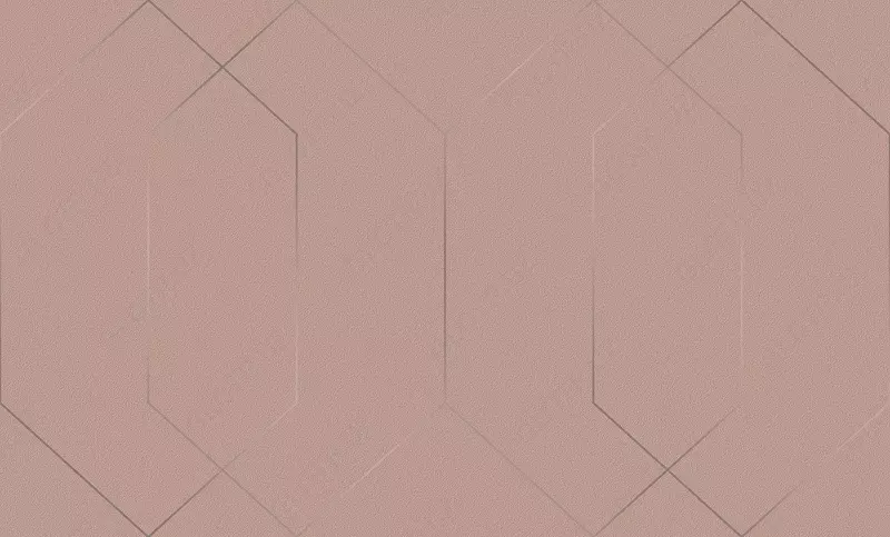 Обои виниловые Мейсон  АСПЕКТ Deluxe (арт-70527-50)