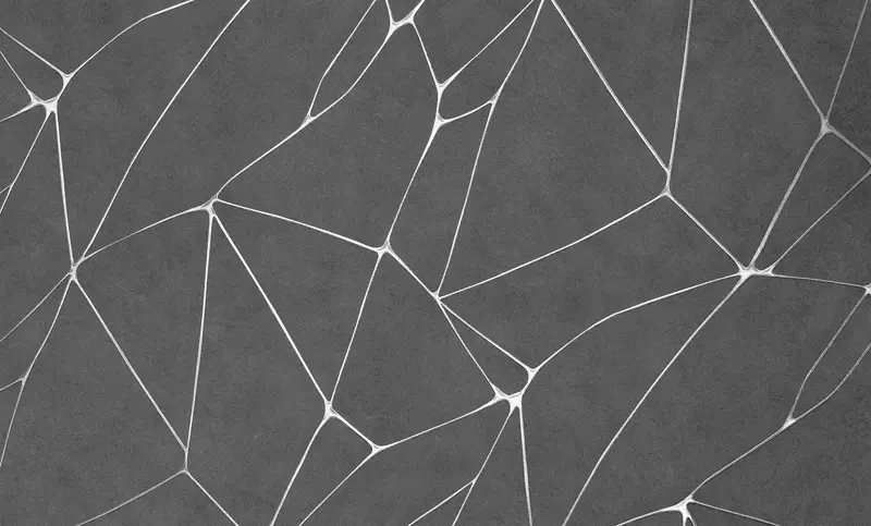  Флизелиновый обой Ateliero Tempo 1 06 м 287249 - 