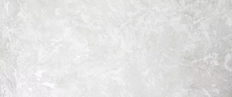  Флизелиновый обой ROSE Fortuna 1 06 м 99811 - 