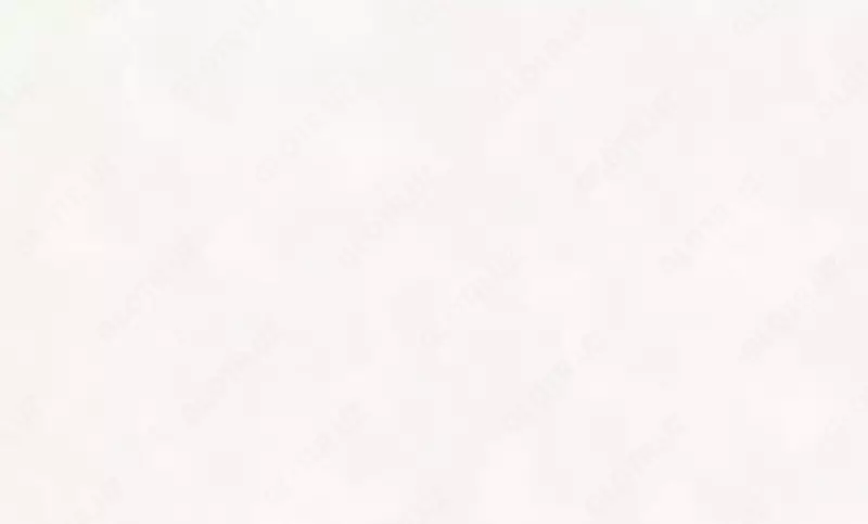  Флизелиновый обой Ateliero Elena 1 06 м 287031 - 