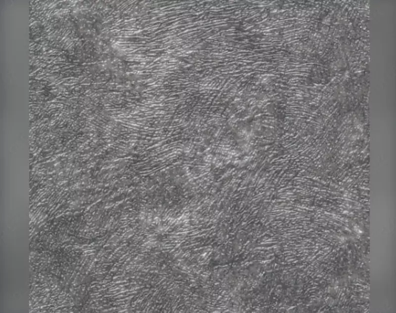 Флизелиновые обои "Harlem" Du&Ka, 1.06 х 10 м (Арт - 27002-8) Турция