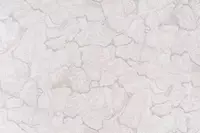  АРТЕКС (М) 1 06 м 20150-04 Карат (Россия) - Oboi Market