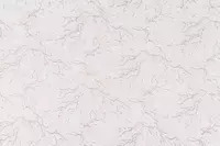  АРТЕКС (М) 1 06 м 20118-04 Каньон (Россия) Chakana savdo