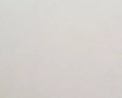 Flizelin asosidagi devor qog‘ozi Domingo «Adel» bej rangda, 1.6 × 10.05 m, Rossiya