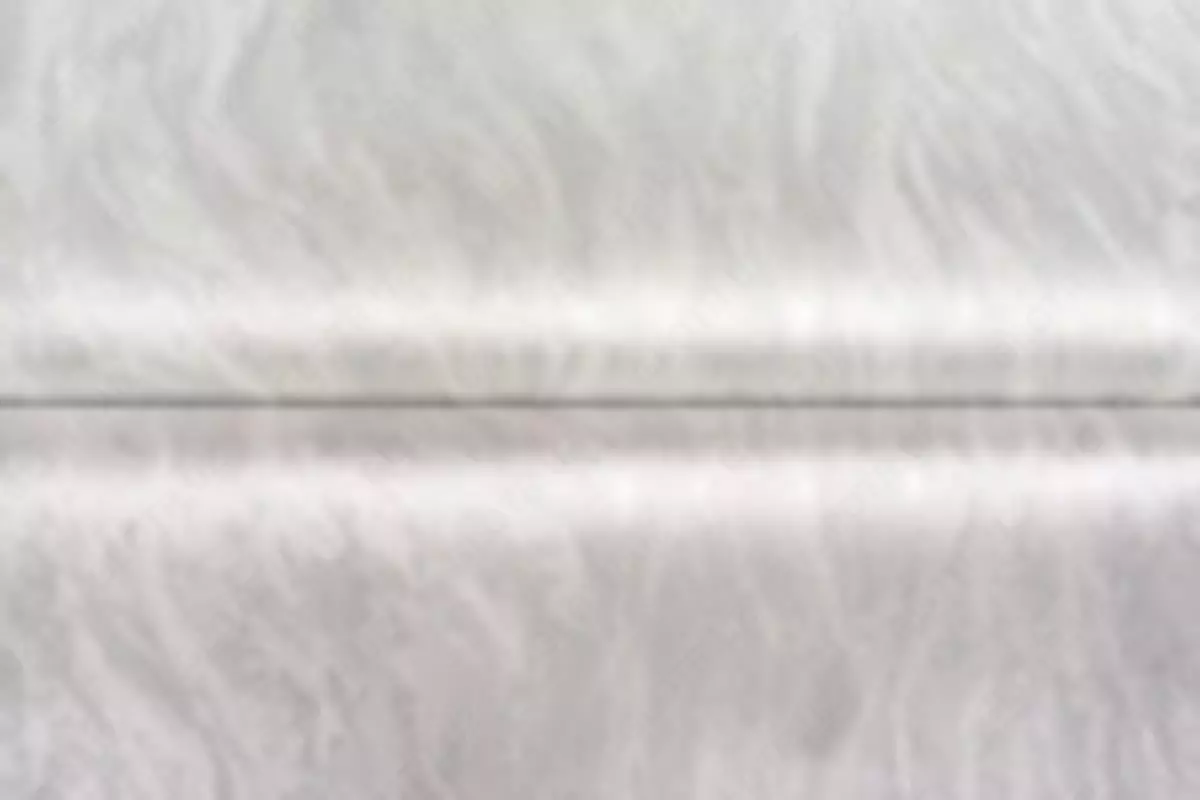 2024-10-22-17-21-22-538602-8d1b819c3481f01d09d0804210c1f935.webp?_=ozbol