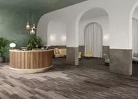 Kovrovaya Plitka Belgiya