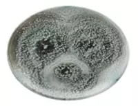 Тарелка диаметром 30 см  модели Attitude  цвета Исландия