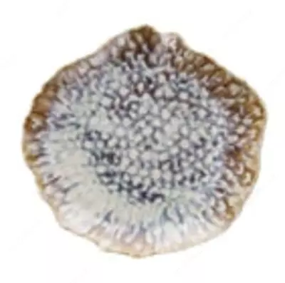 Тарелка диаметром 28x29 см из коллекции Reef Oyster (Италия)