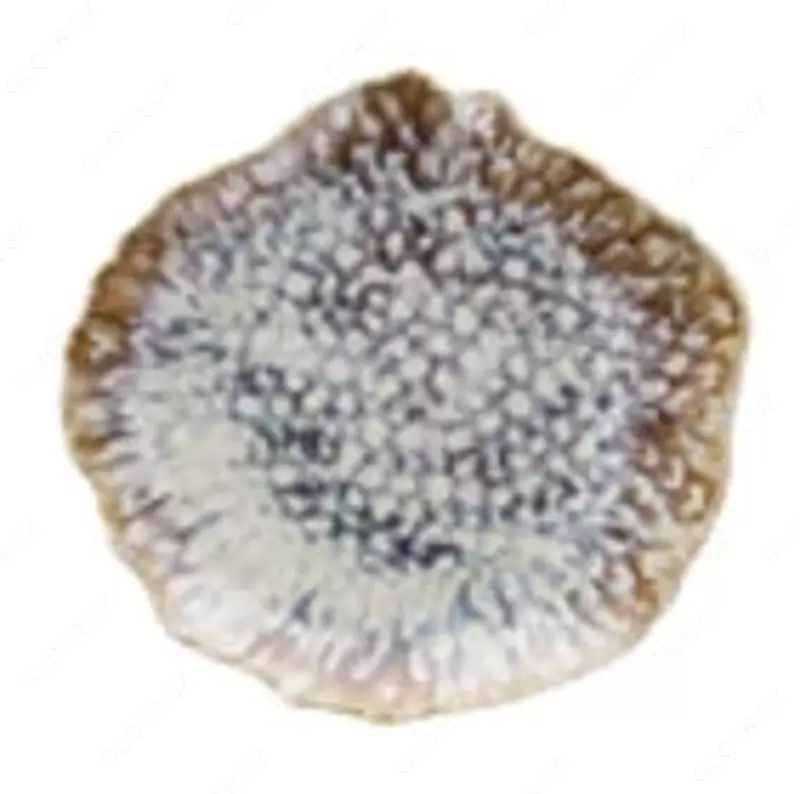 Тарелка диаметром 28x29 см из коллекции Reef Oyster (Италия)