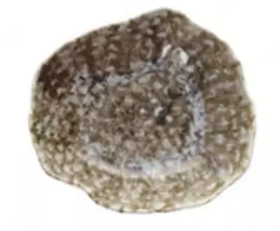 Глубокая тарелка размером 23x20 см из коллекции Reef Marine (Италия)