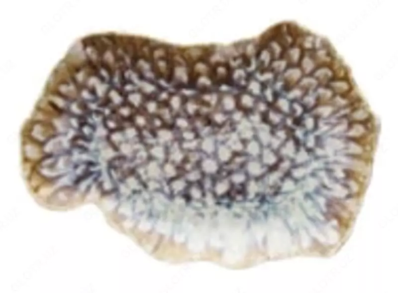 Глубокая тарелка размером 30x20см из коллекции Reef Marine (Италия)