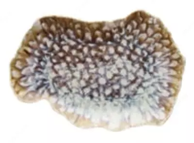 Глубокая тарелка размером 30x20см из коллекции Reef Marine (Италия)