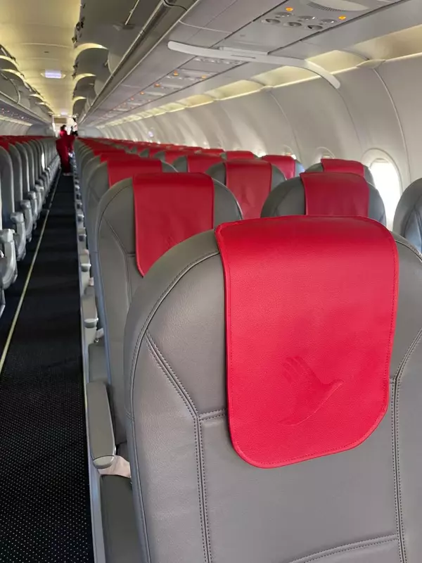 Подголовники в самолёт