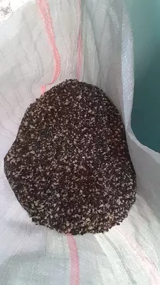 Оголитель семян ОС