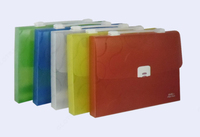 Файл пустышка с ручкой EX4305 Sunwood