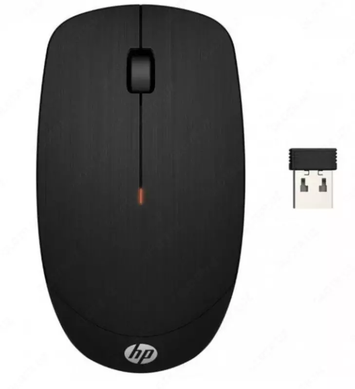 Sizning mushukingizga qanday erishish mumkin