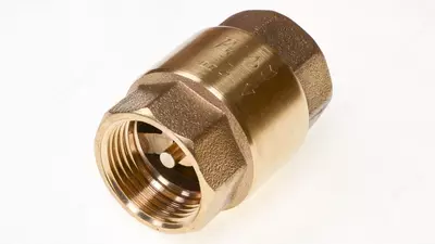 Клапан обратный муфтовый пружинный арт. 517 Ду-65