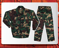 Камуфляжная форма № 51