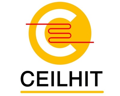 ИП