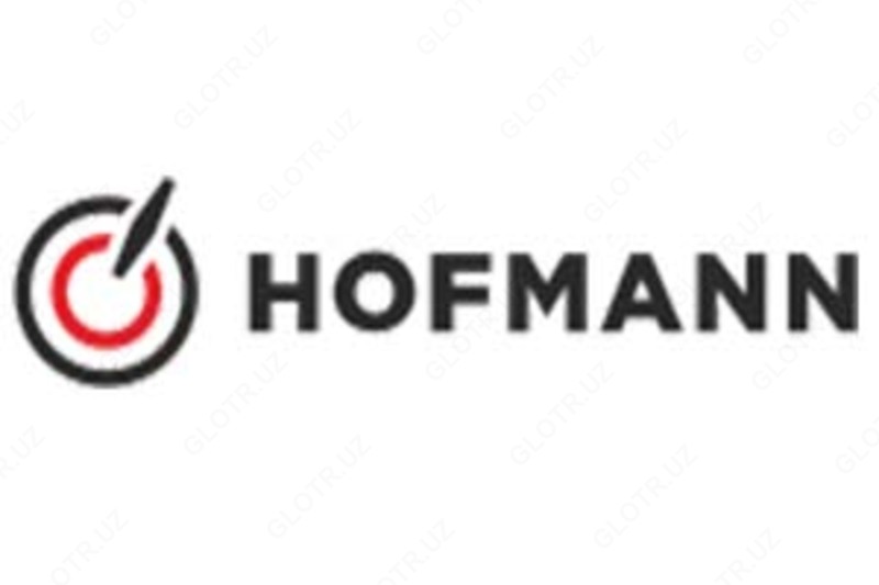 Стиральная машина в кредит Hofmann HW-612TDB